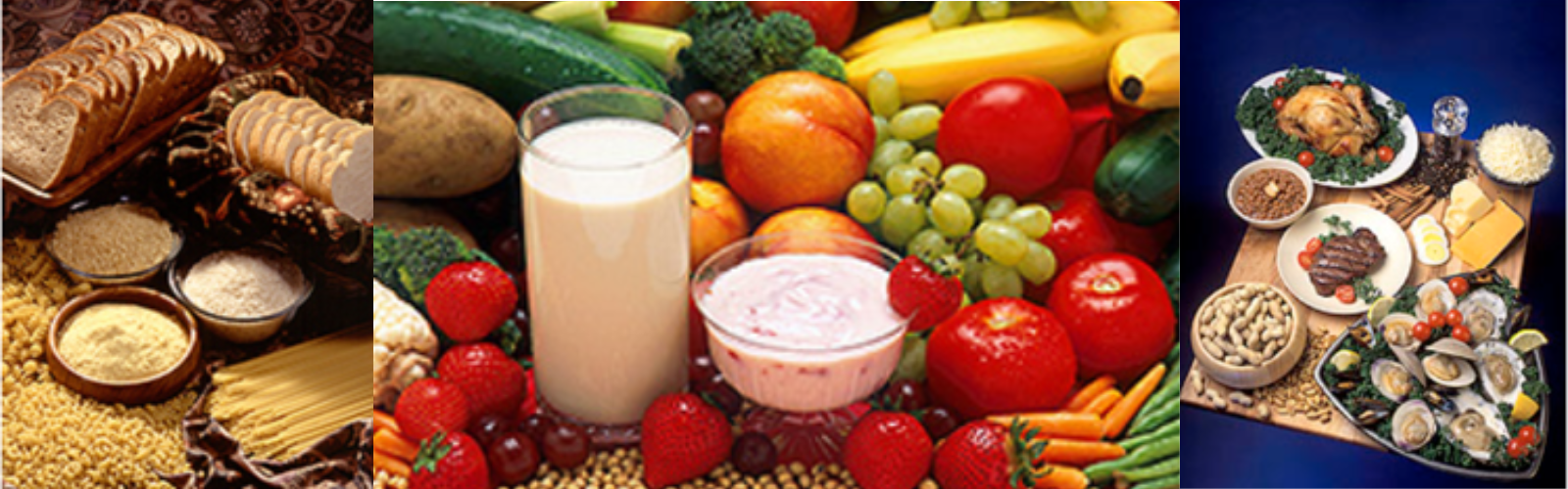 Prevention of DietRelated Chronic Diseases